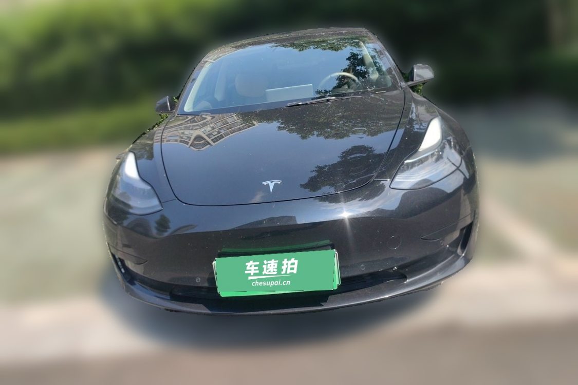 Tesla Model 3 2021 imagem de carro #5