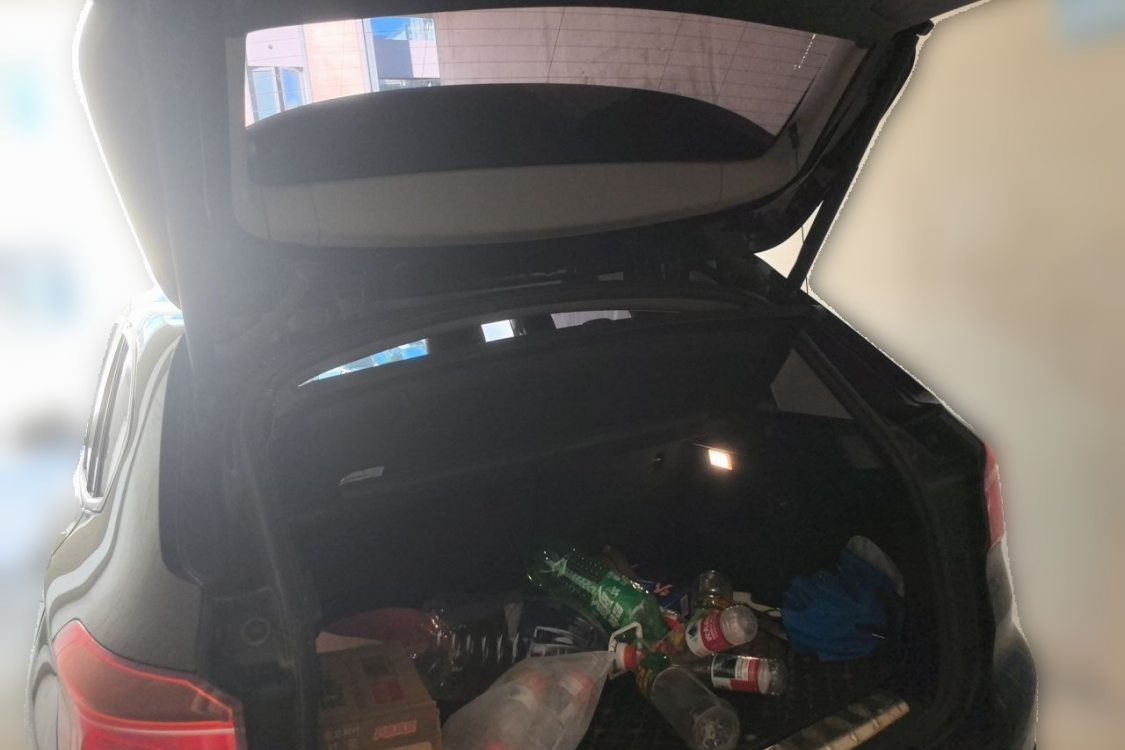 BMW X1 2017 #8 BMW X1 2017 car image #8