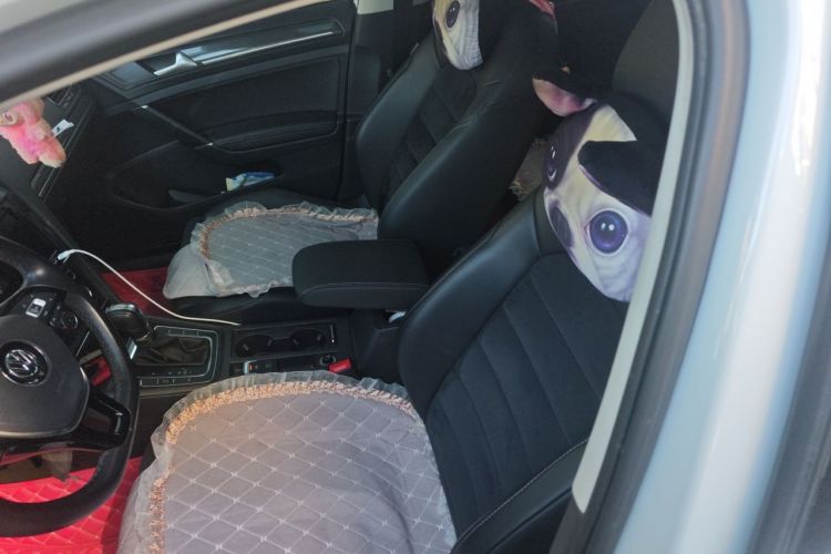 Volkswagen Golf 2019 car image #15