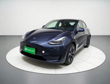 Tesla Model Y 2024 Tesla Model Y 2024 car image