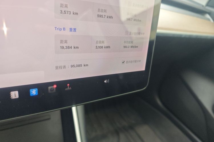 Tesla Model 3 2020 car image #10