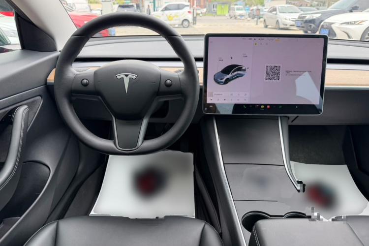 Tesla Model 3 2020 car image #11