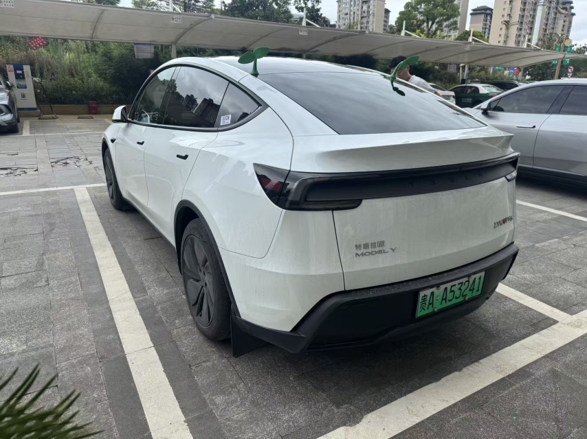 Tesla Model Y 2025 car image #4