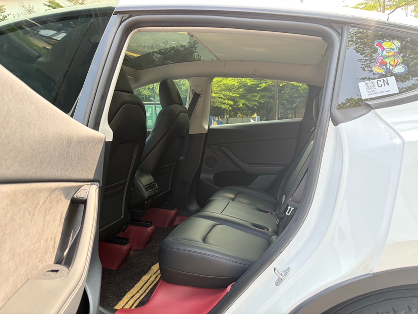 Tesla Model Y 2024 car image #10