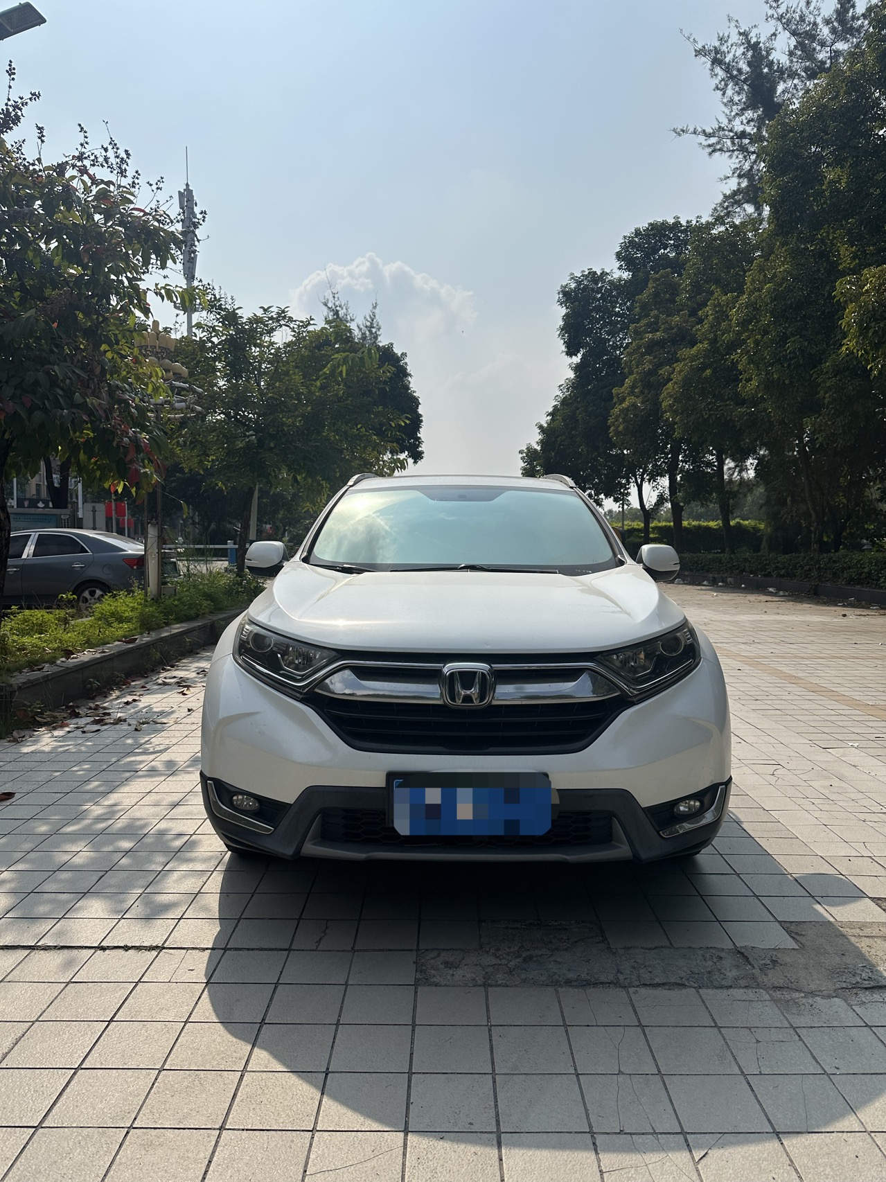 2020 #2 2020 car image #2