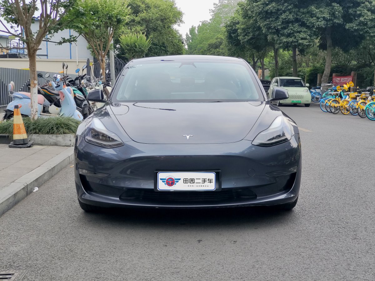 Tesla Model 3 2021 #2 Tesla Model 3 2021 car image #2