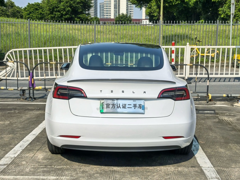 Tesla Model 3 2021 car image #8