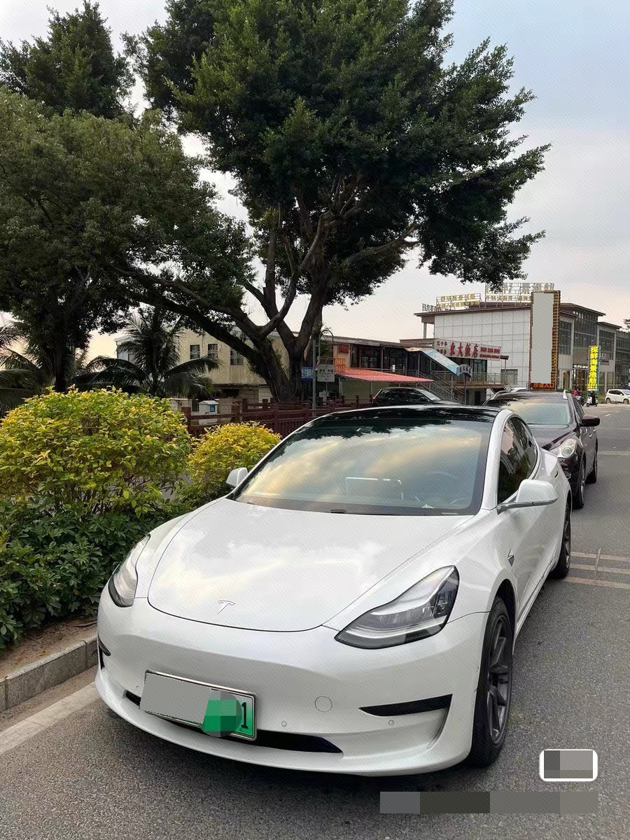 Tesla Model 3 2020 Tesla Model 3 2020 imagen de coche