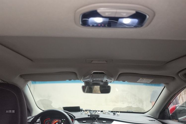 GEELY Binray 2019 immagine di auto #20