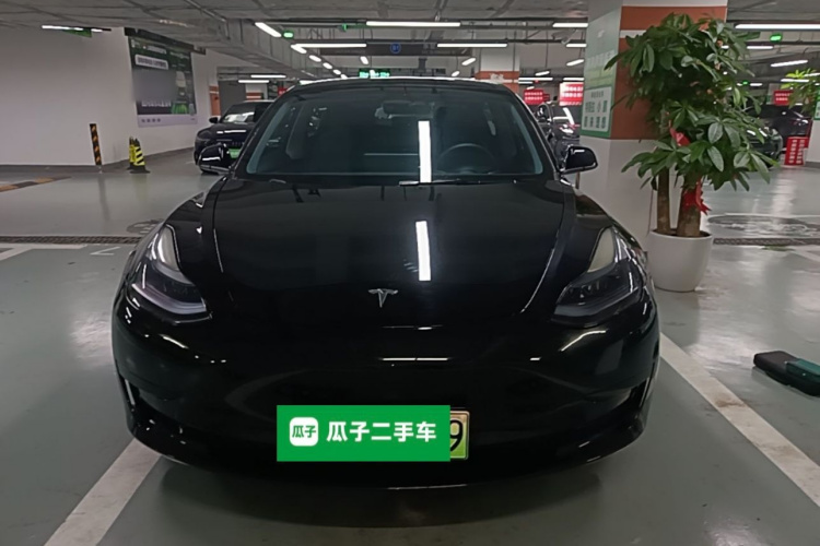 Tesla Model 3 2023 #3 Tesla Model 3 2023 car image #3