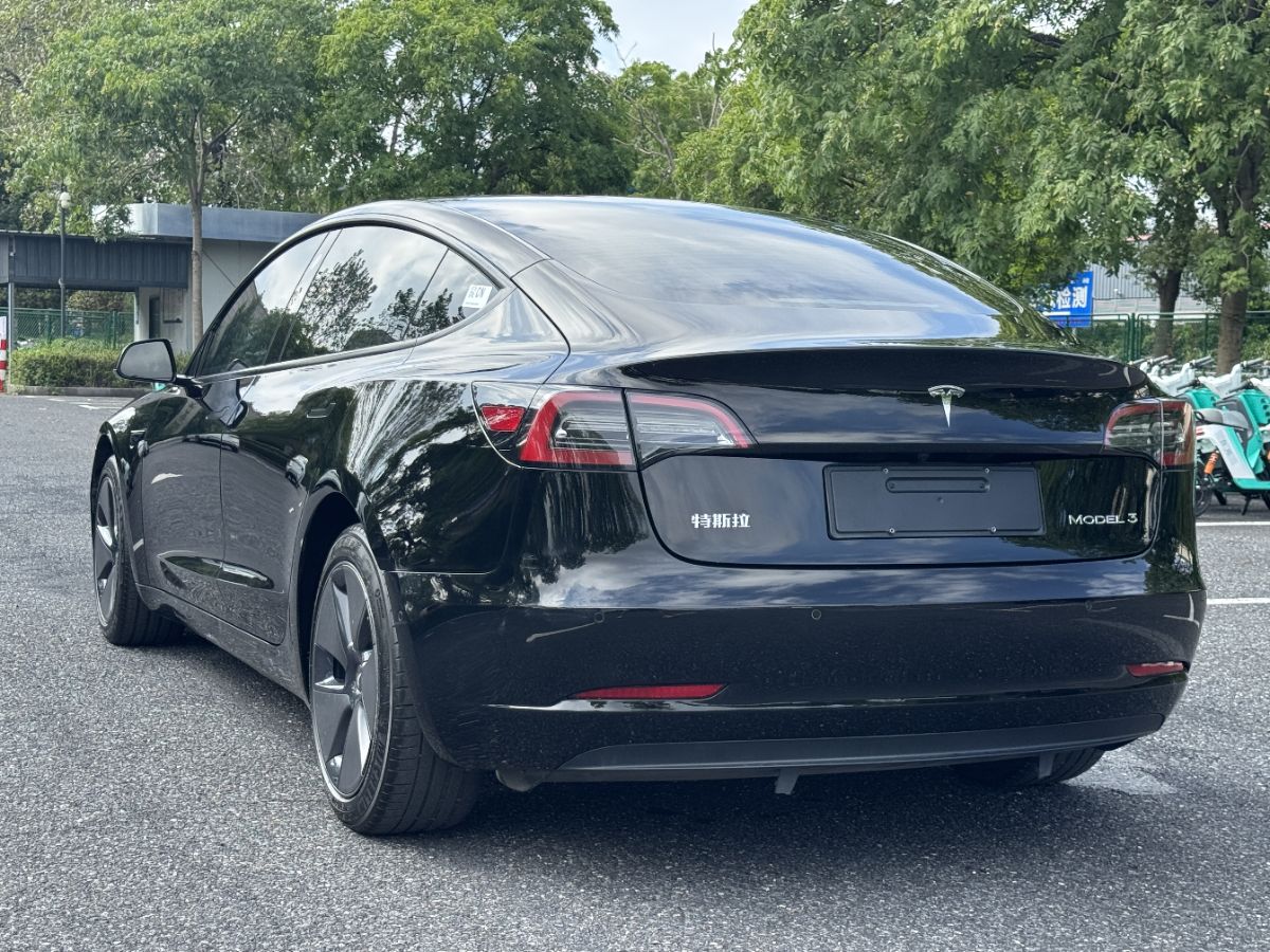 Tesla Model 3 2021 #3 Tesla Model 3 2021 car image #3