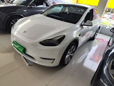 Tesla Model Y 2021 car image 