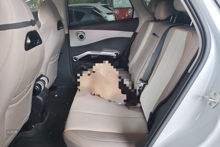 BYD Yuan Plus 2024 car image #19