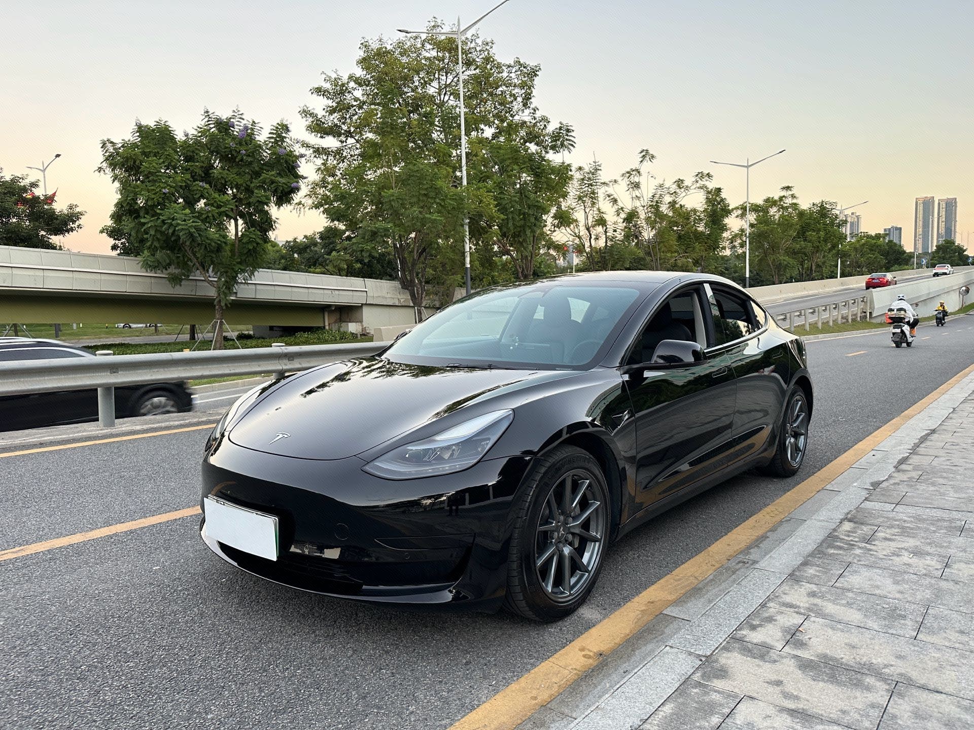 Tesla Model 3 2021 Tesla Model 3 2021 car image