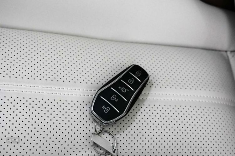 BYD Han 2022 immagine di auto #10