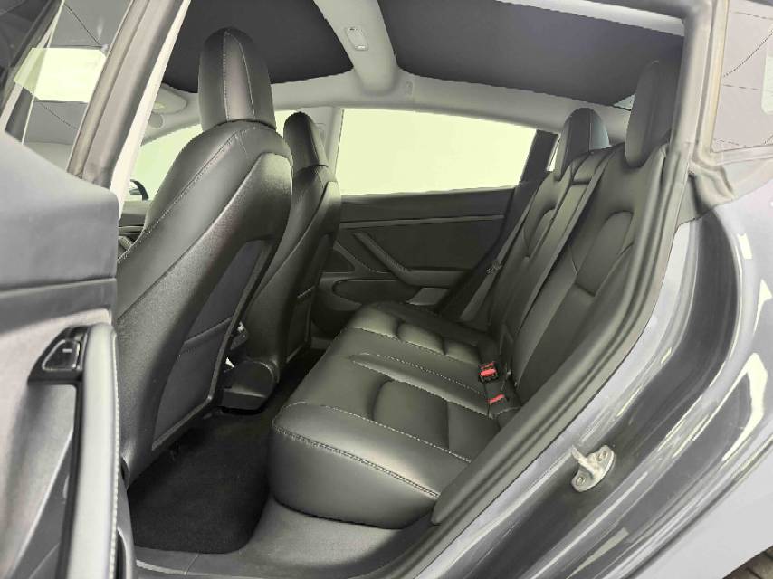 Tesla Model 3 2020 immagine di auto #4