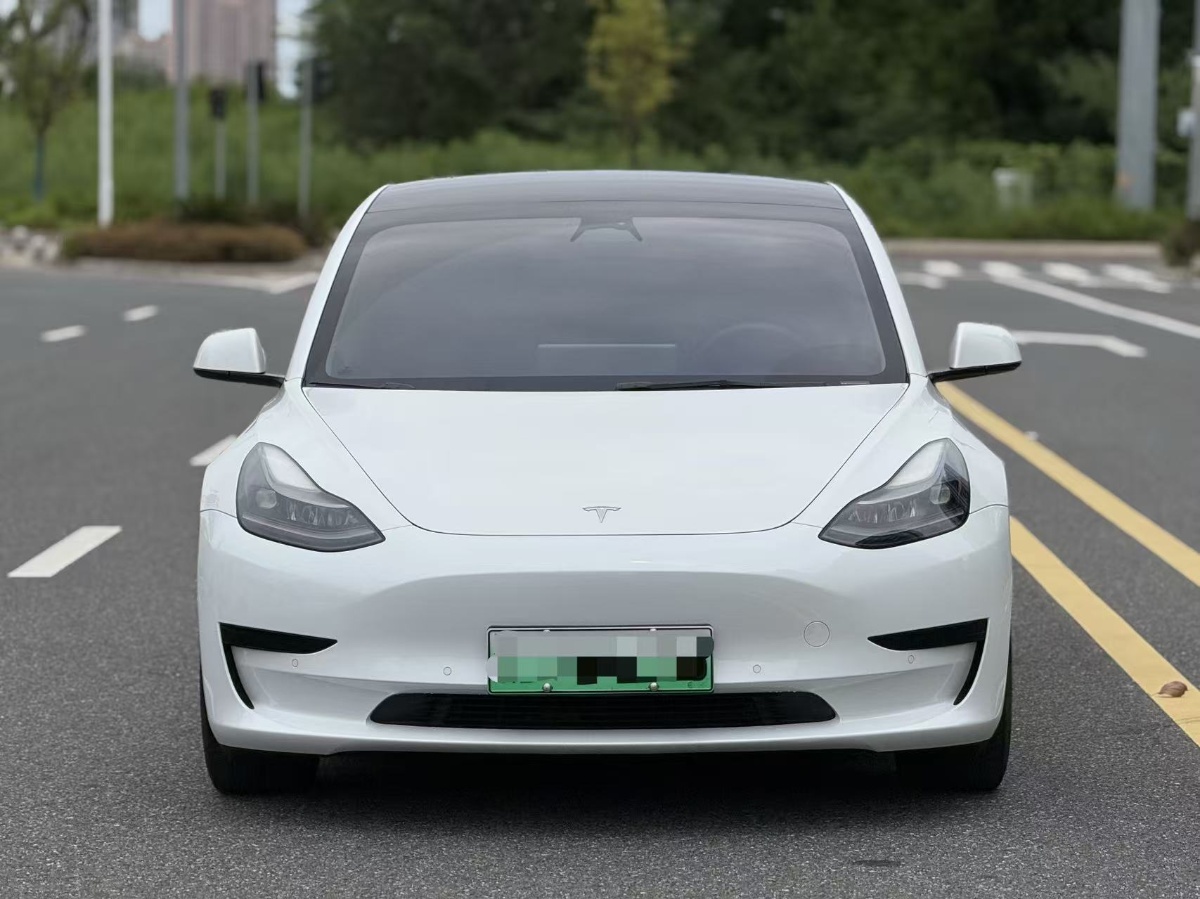 Tesla Model 3 2022 #2 Tesla Model 3 2022 car image #2