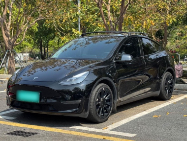 Tesla Model Y 2022 汽车图片 
