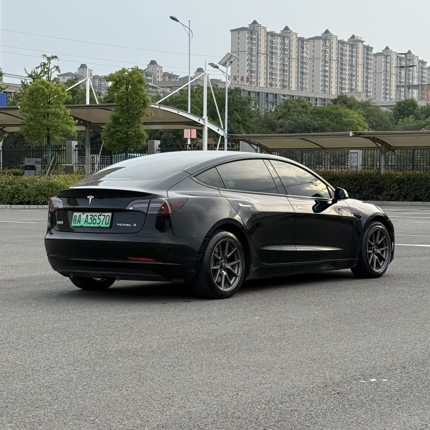 Tesla Model 3 2021 #14 Tesla Model 3 2021 car image #14