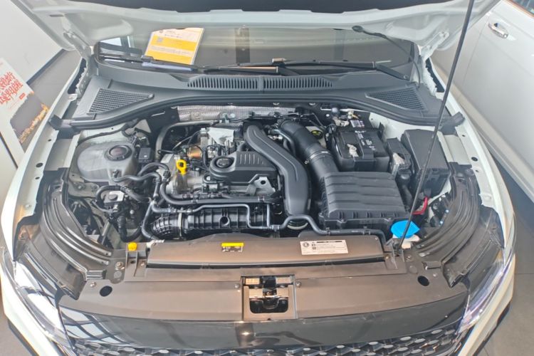 Volkswagen Lavida 2024 car image #20