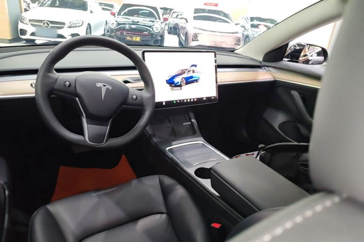 Tesla Model 3 2022 immagine di auto #10