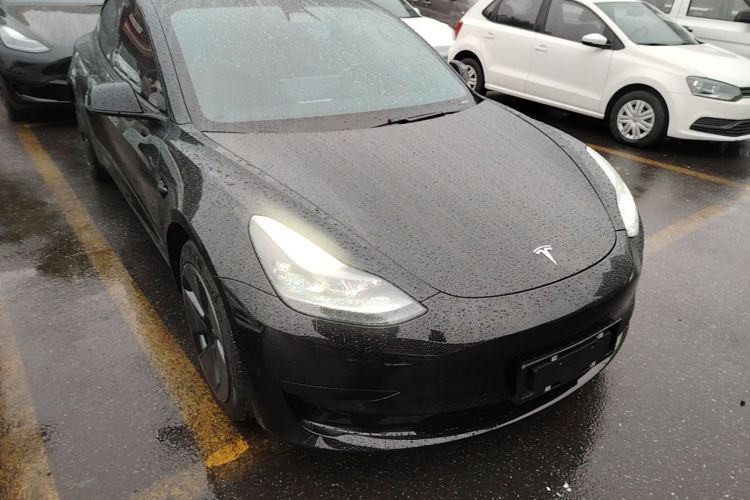 Tesla Model 3 2021 car image #6