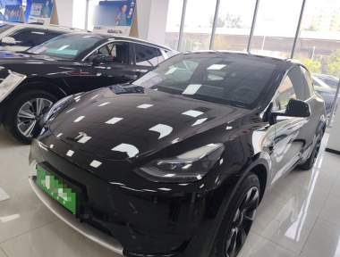 Tesla Model Y 2023 Tesla Model Y 2023 car image