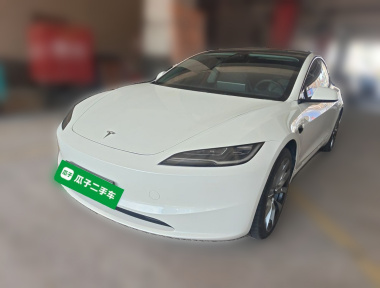 Tesla Model 3 2024 Tesla Model 3 2024 car image
