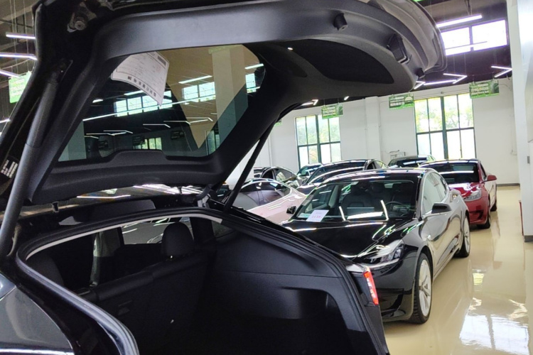 Tesla Model Y 2023 #19 Tesla Model Y 2023 car image #19