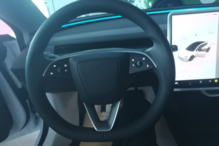 Tesla Model 3 2025 car image #11