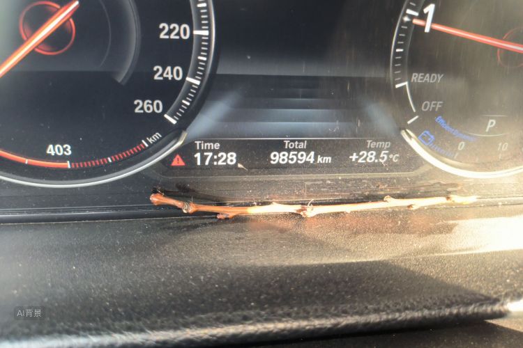 BMW 3 Series 2019 صورة سيارة #14