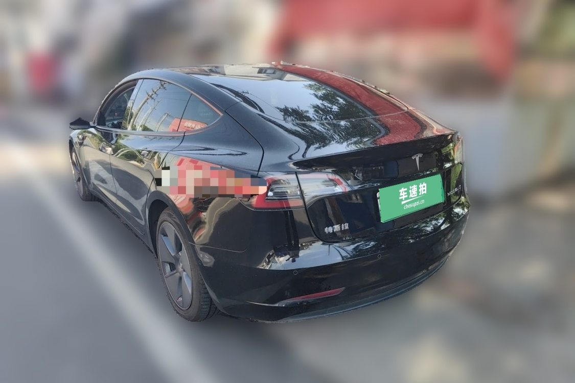Tesla Model 3 2021 #3 Tesla Model 3 2021 car image #3