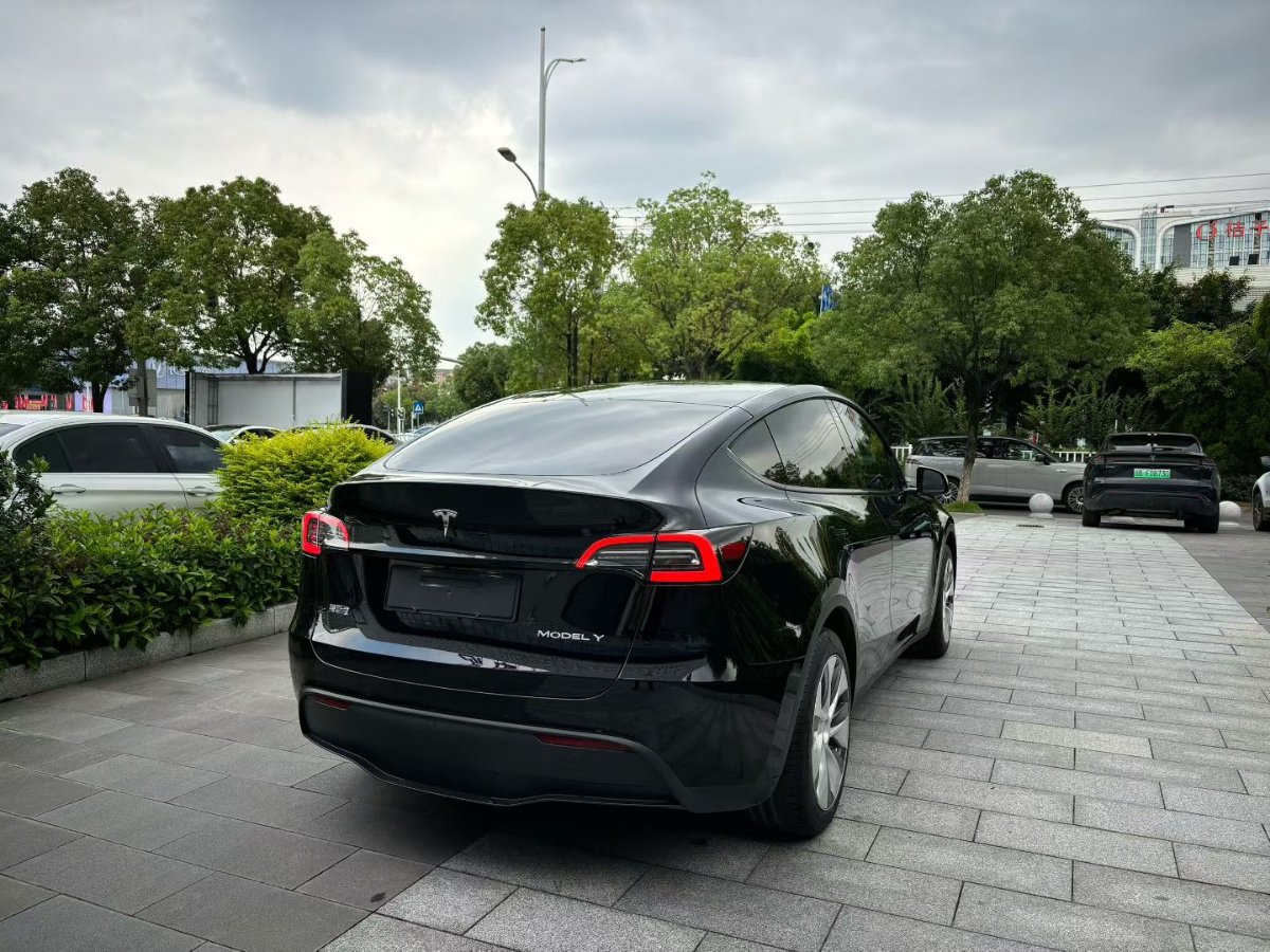 Tesla Model Y 2023 car image #9