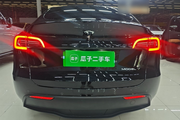 Tesla Model Y 2021 car image #6