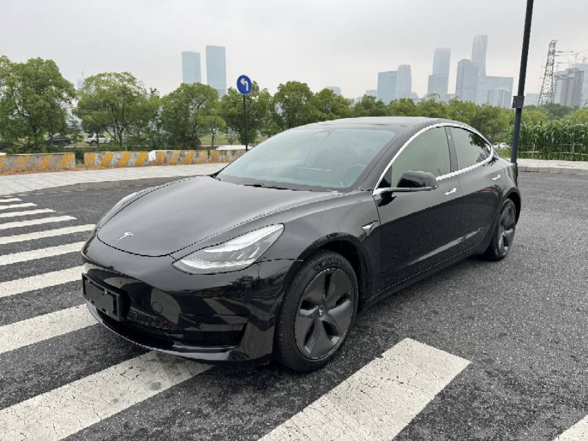 Tesla Model 3 2020 Tesla Model 3 2020 car image