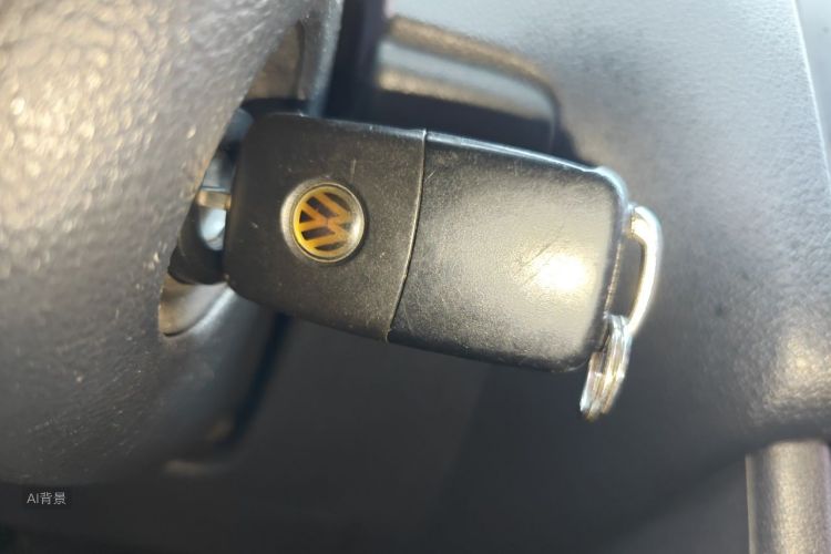 Volkswagen Polo 2015 car image #10
