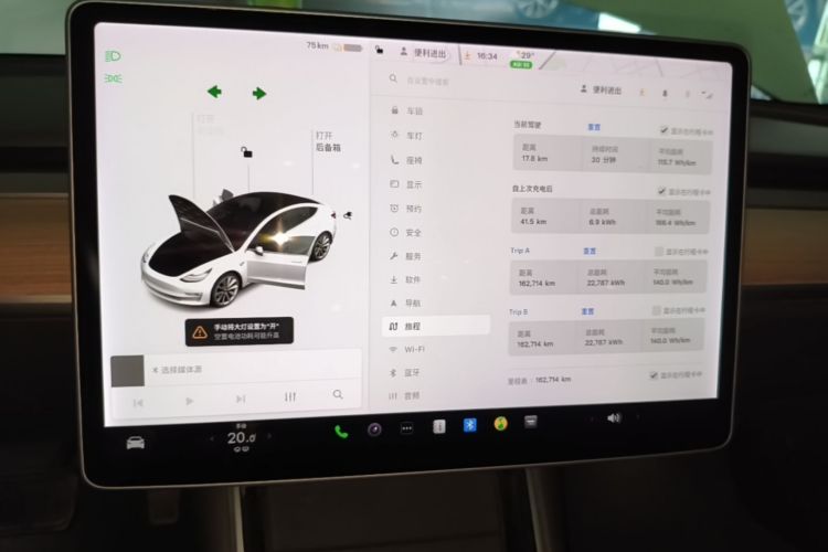 Tesla Model 3 2020 car image #12