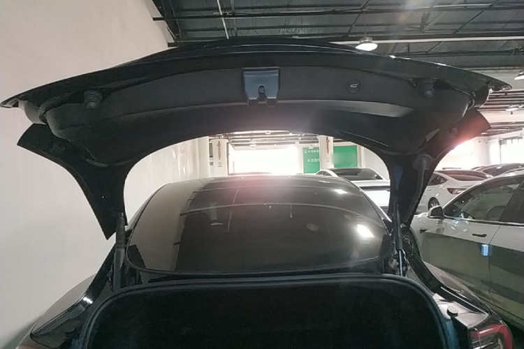 Tesla Model 3 2023 car image #19