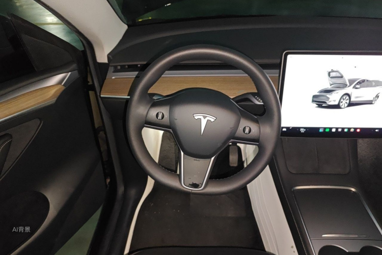 Tesla Model Y 2023 car image #12