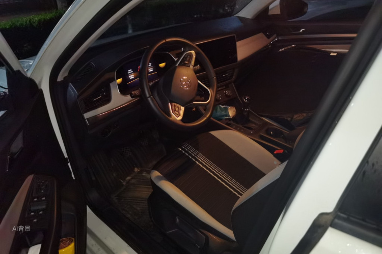 Volkswagen Bora 2024 car image #18