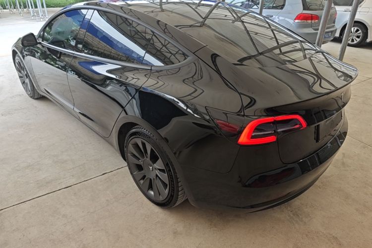 Tesla Model 3 2020 #5 Tesla Model 3 2020 car image #5
