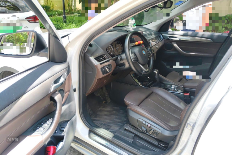 BMW X1 New Energy 2019 car image #18