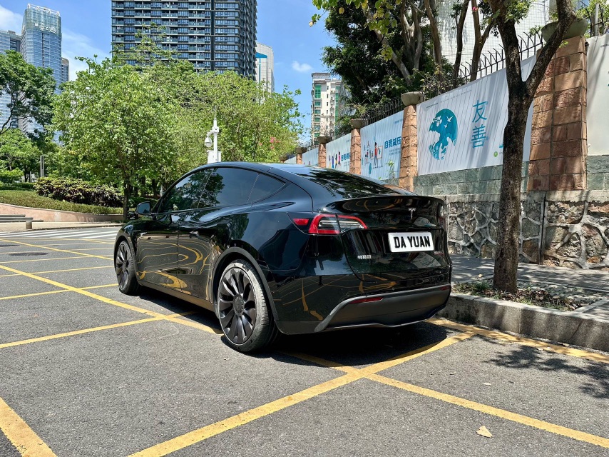 Tesla Model Y 2021 car image #7
