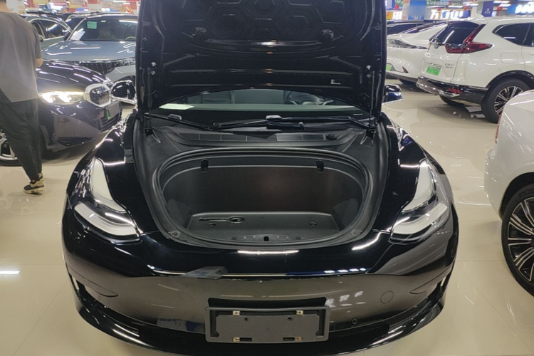 Tesla Model 3 2020 car image #20