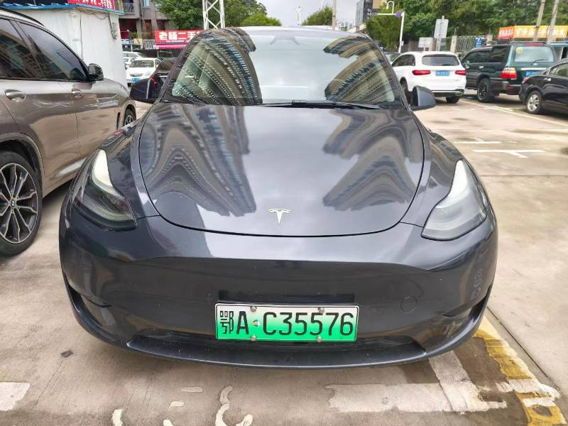 Tesla Model Y 2024 car image #2