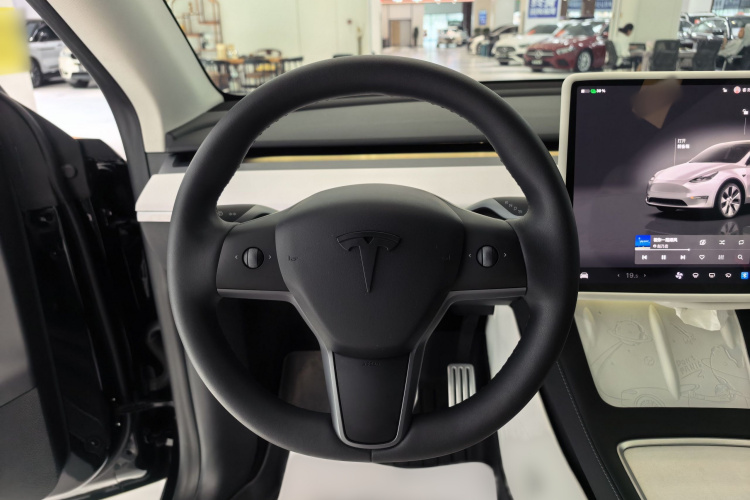 Tesla Model Y 2023 car image #12