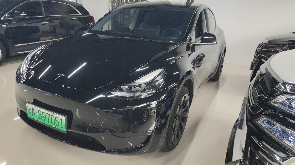 Tesla Model Y 2023 Tesla Model Y 2023 car image