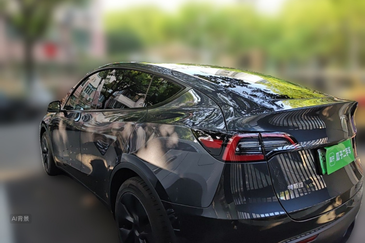 Tesla Model Y 2024 car image #5