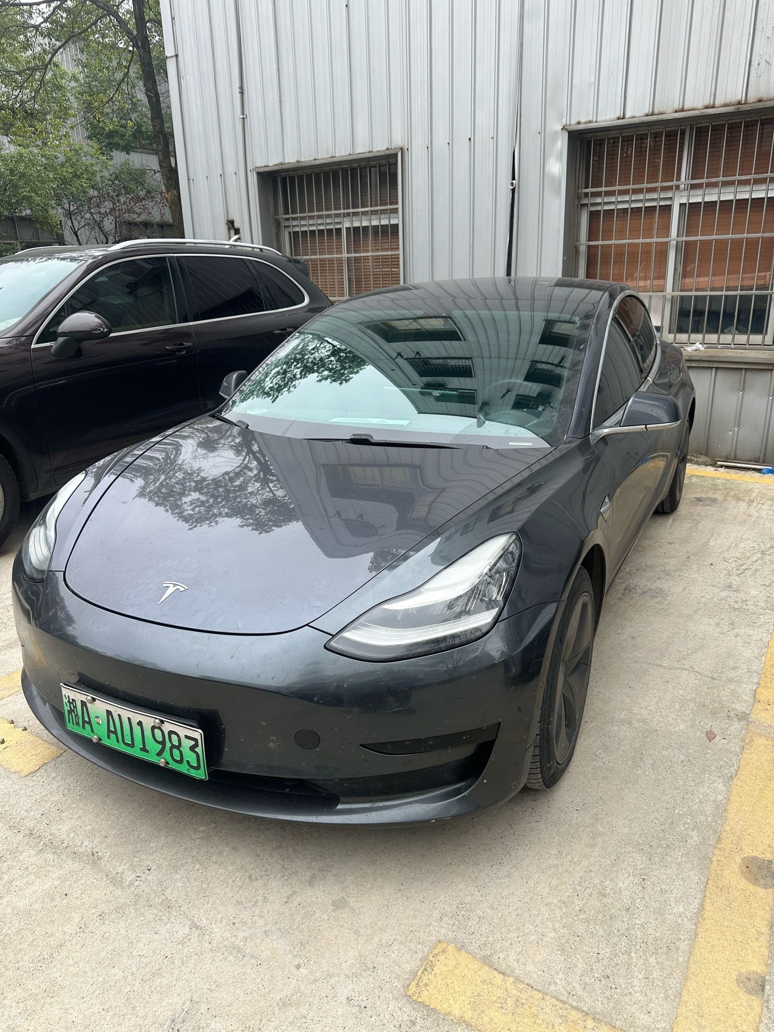 Tesla Model 3 2020 Tesla Model 3 2020 immagine di auto
