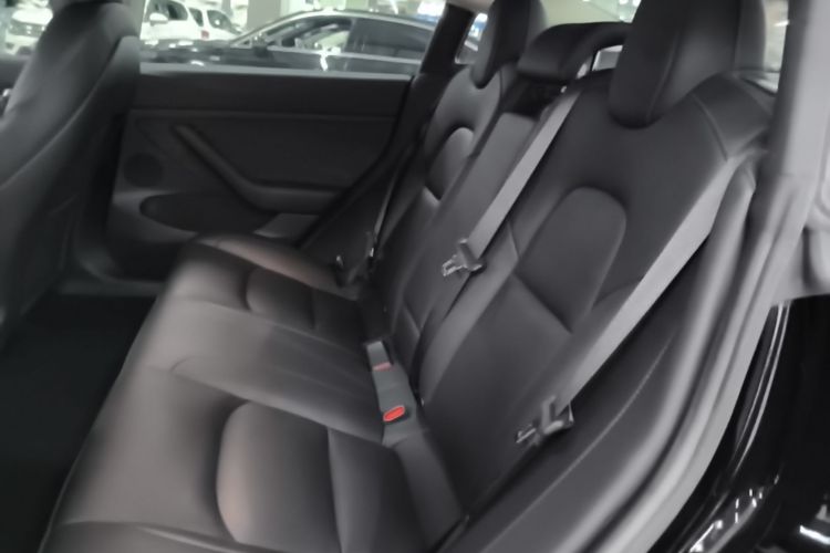 Tesla Model 3 2022 #17 Tesla Model 3 2022 immagine di auto #17